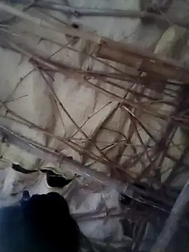 Snapshot of Sapna_cutt chatting on October 2025 12:28:02 PM Sapna cutt online show from October 2025 12:28:02 PM