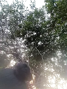 Snapshot of Sapna_cutt chatting on November 2025 11:10:01 AM Sapna cutt online show from November 2025 11:10:01 AM