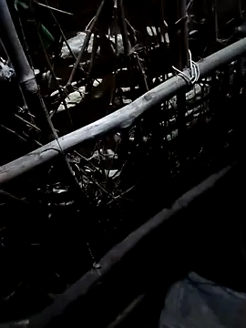 Snapshot of Sapna_cutt chatting on October 2025 03:37:02 PM Sapna cutt online show from October 2025 03:37:02 PM