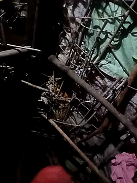 Snapshot of Sapna_cutt chatting on October 2025 04:38:02 PM Sapna cutt online show from October 2025 04:38:02 PM