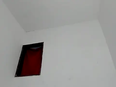 calliedemon  online show from April 2026 05:15:01 PM