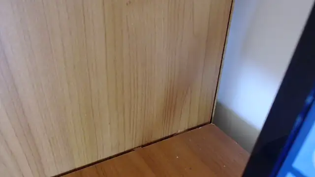 Pamela-StripX online show from March 2026 08:38:01 PM