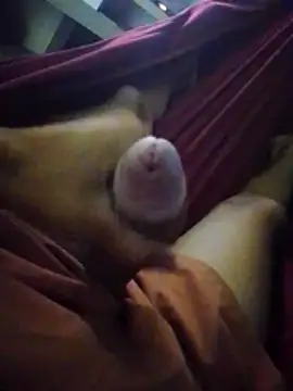 Holanda23cm online show from April 2026 01:42:01 AM