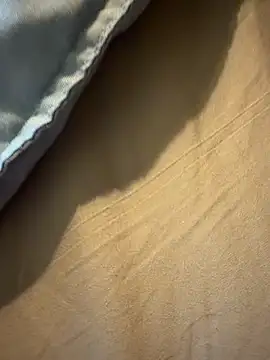 StudiedJoint85 online show from November 2025 05:02:01 PM