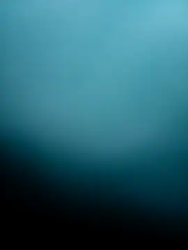 Bocuseart online show from December 2025 06:17:01 PM