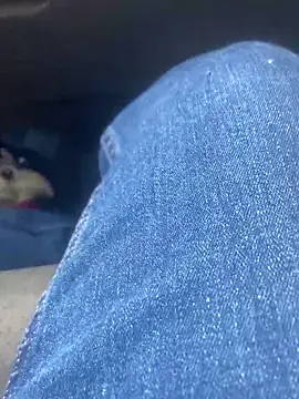 Pedro98801 online show from February 2026 11:48:02 PM