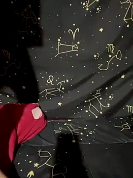 Snapshot of swallow-nice chatting on October 2025 02:13:02 AM swallow-nice online show from October 2025 02:13:02 AM