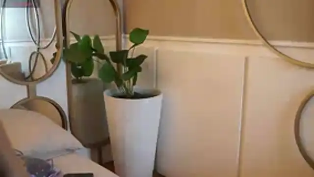 Tayler Kim online show from November 2025 03:38:02 PM