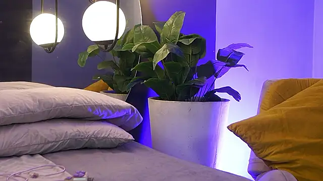 Tayler Kim online show from February 2026 06:41:01 PM