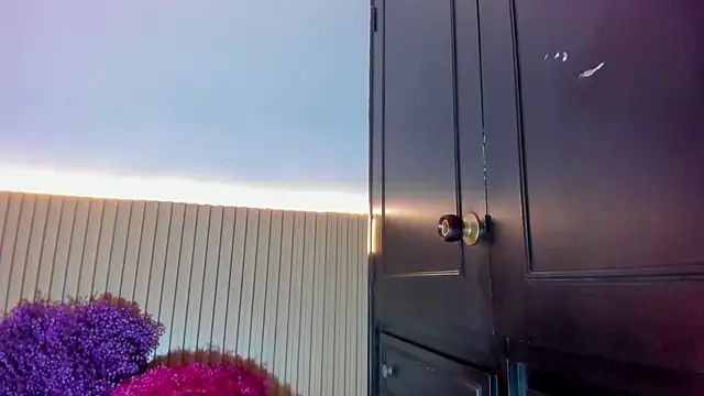 Alana 333 online show from December 2025 11:59:02 AM