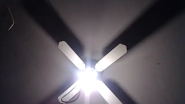 BiglovelyXXL online show from November 2025 04:33:02 AM