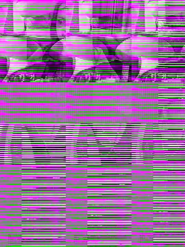 Snapshot of WWGD69 chatting on October 2025 11:40:02 AM WWGD69 online show from October 2025 11:40:02 AM