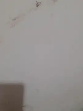 Sexy Mal89 online show from December 2025 05:28:01 PM