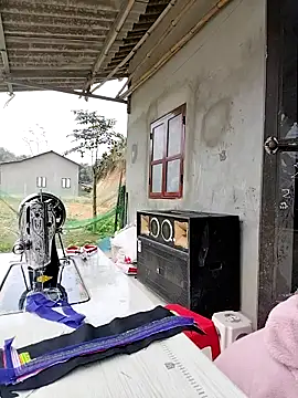 Tin tanny online show from February 2026 06:33:02 AM