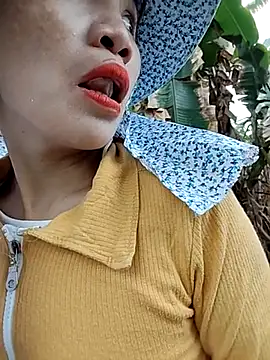 Tin tanny online show from November 2025 12:42:02 AM