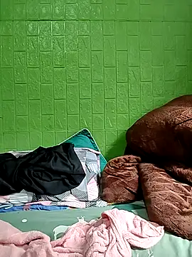 Tin tanny online show from November 2025 05:22:02 AM