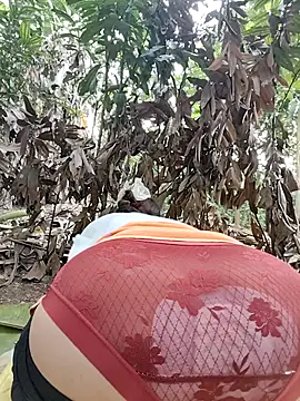 Tin tanny online show from March 2026 01:06:01 AM