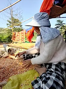 Tin tanny online show from November 2025 08:14:01 AM