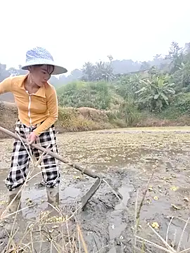 Tin tanny online show from December 2025 12:54:02 AM