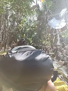 Tin tanny online show from January 2026 08:18:01 AM