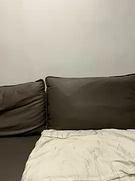 Snapshot of ruyi-13 chatting on September 2025 08:13:02 AM ruyi-13 online show from September 2025 08:13:02 AM