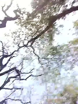 Hot rachnasexy online show from April 2026 06:05:02 AM