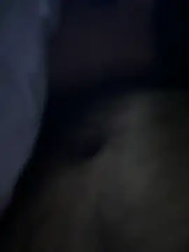 Snapshot of sukebegorilla chatting on November 2025 05:13:02 PM sukebegorilla online show from November 2025 05:13:02 PM