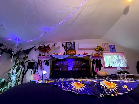 kinkycanner online show from November 2025 12:03:02 AM