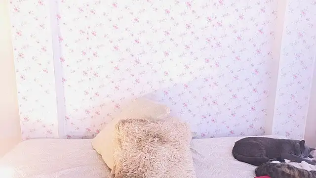 dahiana marin online show from February 2026 07:46:01 PM