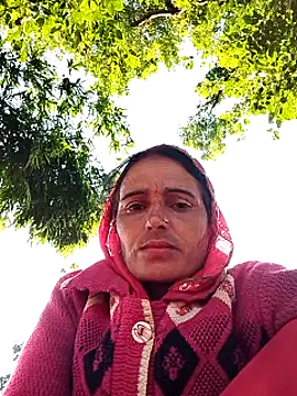 Jalebi bay online show from November 2025 02:15:02 AM