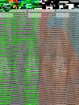 Jalebi bay online show from November 2025 10:16:02 AM