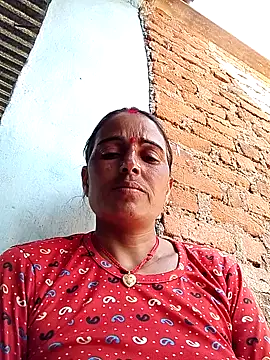 Jalebi bay online show from September 2025 08:54:01 AM