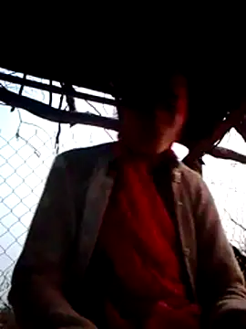 H seema online show from December 2025 12:17:02 PM