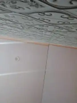 Snapshot of Aidakhan1212 chatting on November 2025 05:28:02 PM Aidakhan1212 online show from November 2025 05:28:02 PM