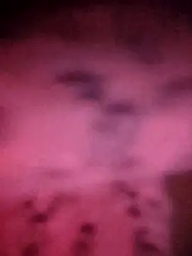 LUCKY cut online show from November 2025 04:18:02 PM