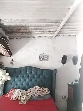  tetas 92 online show from November 2025 03:01:01 PM