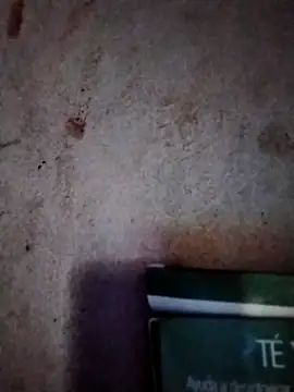  tetas 92 online show from March 2026 01:27:02 PM