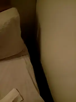 Zl033677chinchinsauchin online show from November 2025 03:23:01 PM