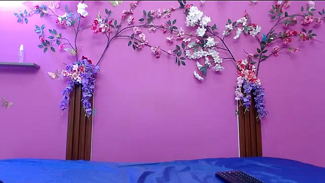 skinnysofia18 online show from May 2026 02:01:01 PM