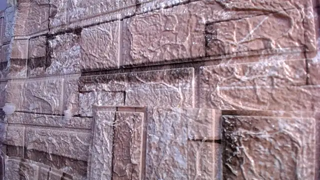 Bicky 24 online show from March 2026 07:59:01 AM