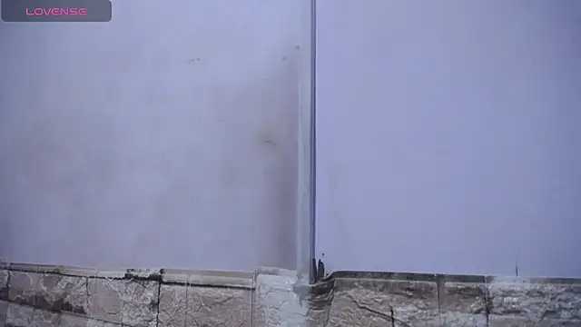 Bicky 24 online show from February 2026 09:20:02 AM