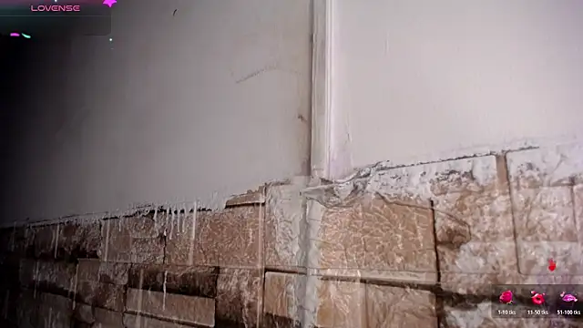 Bicky 24 online show from March 2026 09:01:01 AM