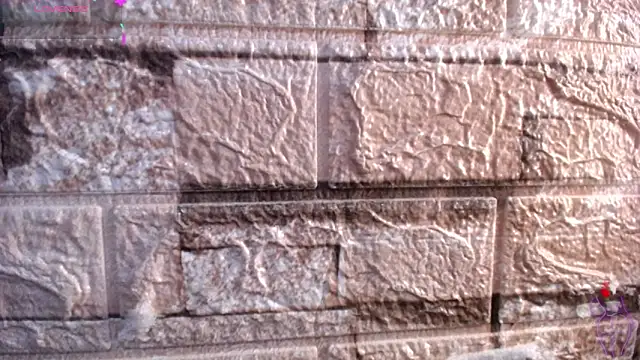 Bicky 24 online show from March 2026 09:26:02 AM