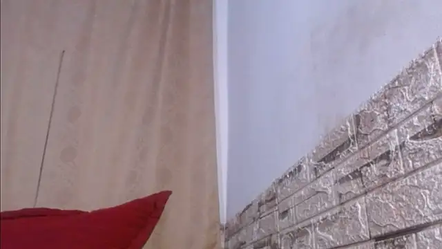 Bicky 24 online show from May 2026 08:56:01 AM