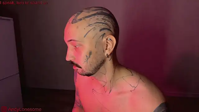 Snapshot of AndyLonesome chatting on September 2025 08:41:01 PM AndyLonesome online show from September 2025 08:41:01 PM