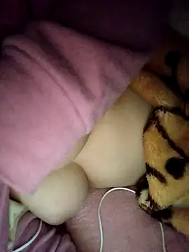 CHahed-5 online show from November 2025 03:38:01 AM