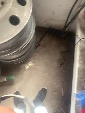 Chico031289 online show from April 2026 04:36:02 PM