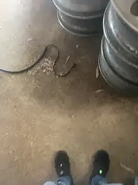 Chico031289 online show from February 2026 06:29:02 PM