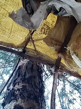 Janvi Jaitly online show from November 2025 01:15:02 AM