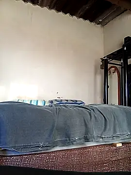 average price online show from October 2025 04:25:01 AM